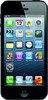 Apple iPhone 5 16GB - Шарыпово